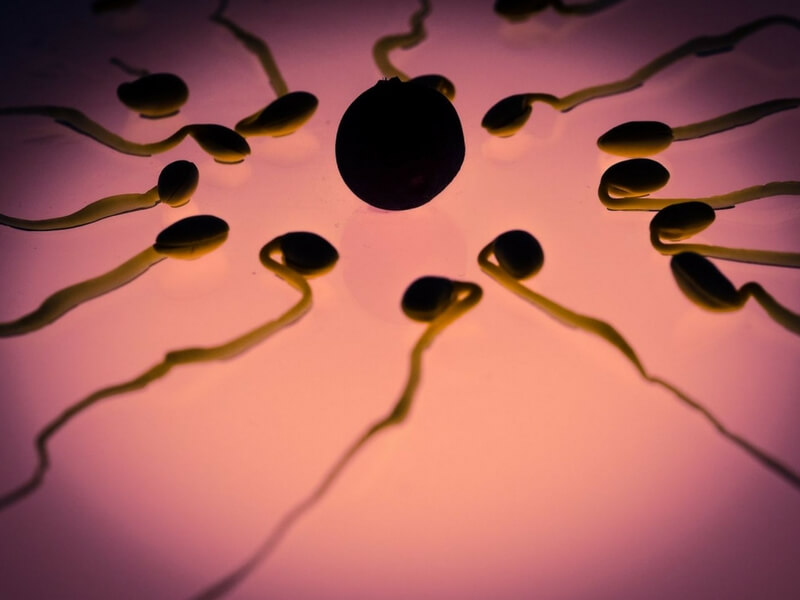 Metode de contraceptie: Tipuri si caracteristici