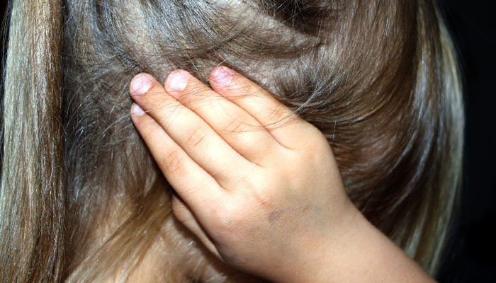 Violenta in familie. Cauze. Efecte. Comportamente. Copilul victima