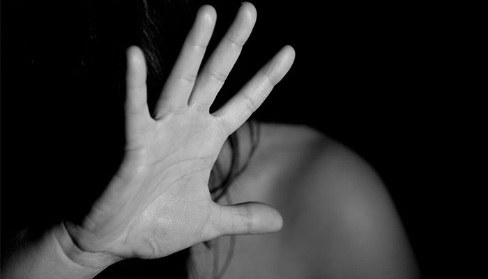 Violenta in familie. Cauze. Efecte. Comportamente. Copilul victima