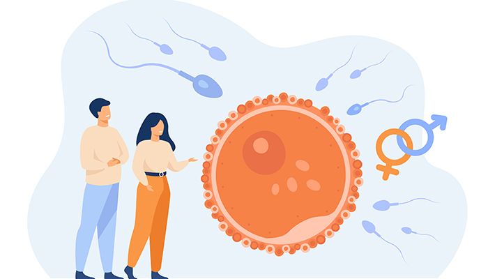 Reproducerea umana – ghidul nestiutorului
